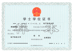 电子科技大学学位证样本