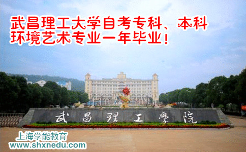 武昌理工学院自考大专本科艺术设计专业一年毕业